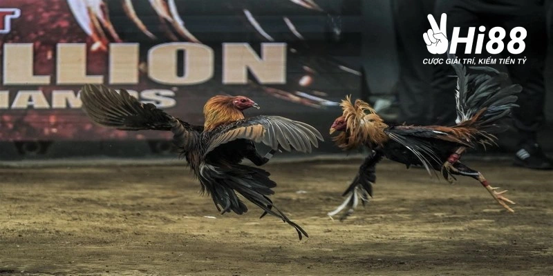 su phat trien vuot bac cua truc tiep da ga philippines