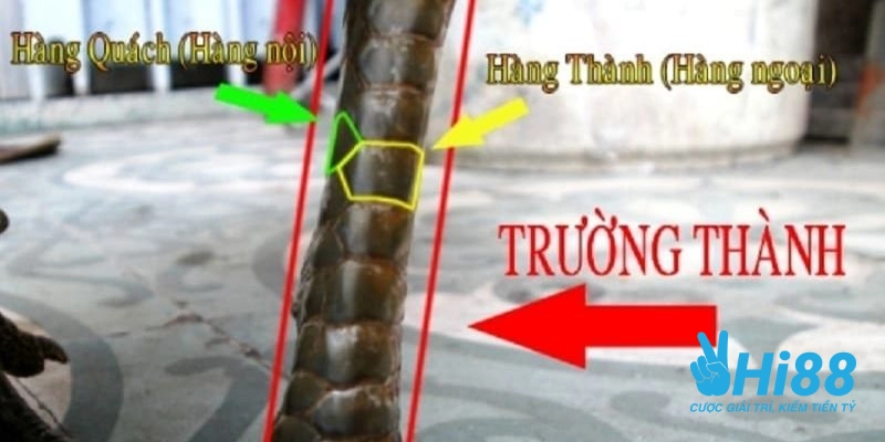 xem vay ga truong thanh